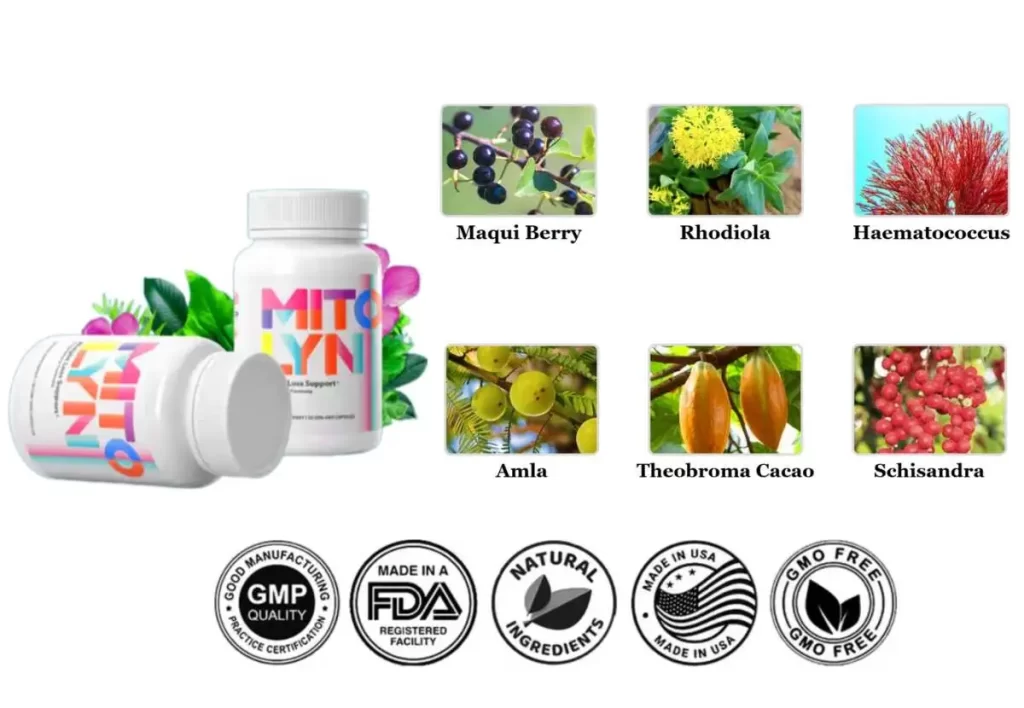 Mitolyn supplement with its ingredients